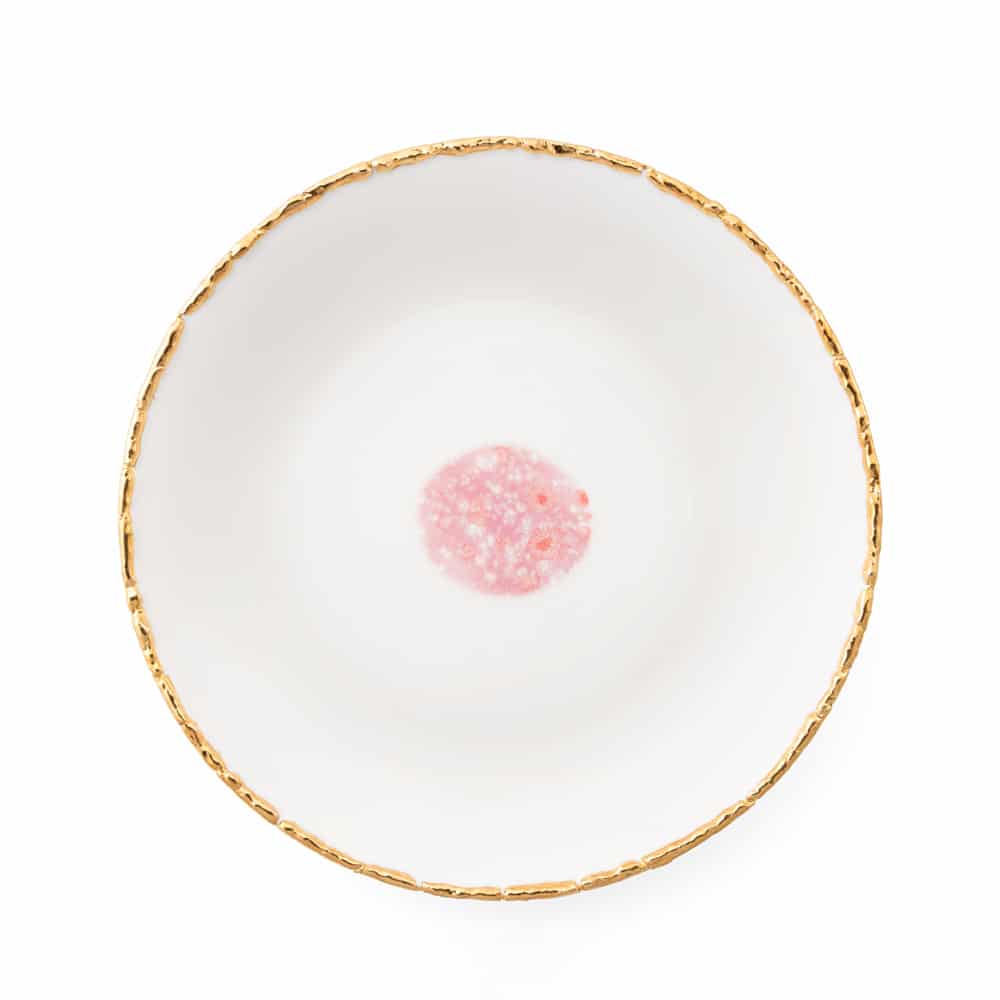 Berry_Dinner Coupe Plate D27 White Craquelé Edge