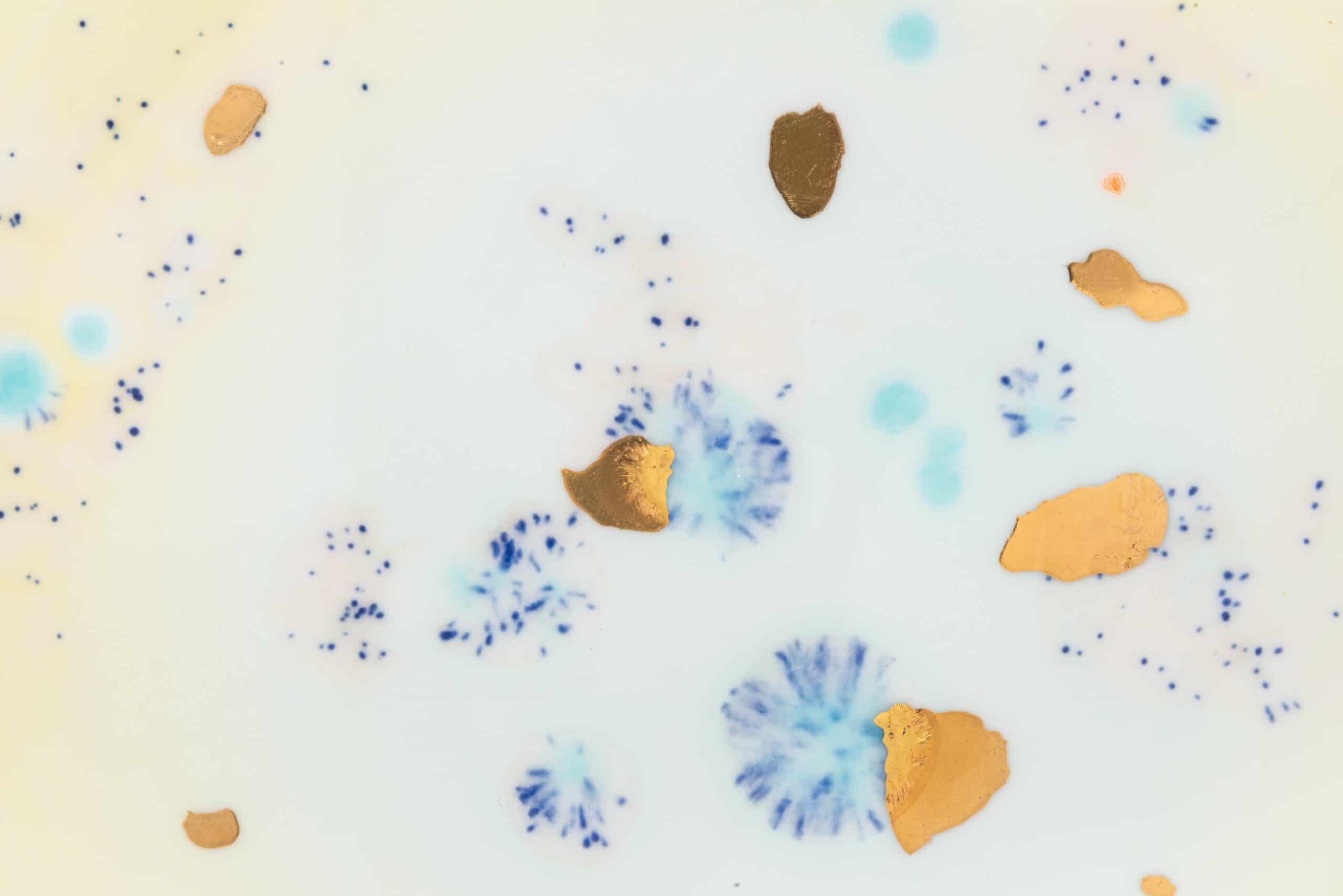 Coralla_13-06-2022_3859