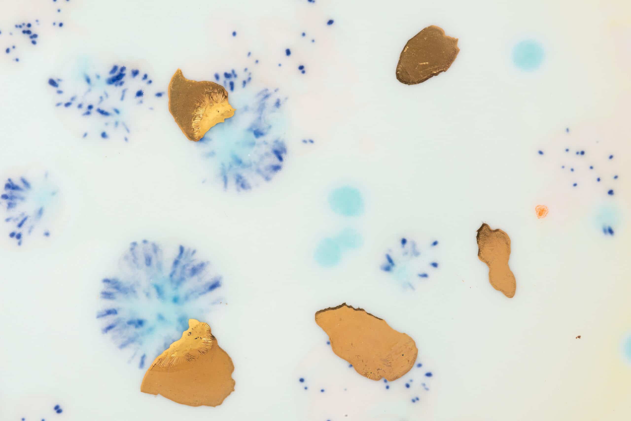 Coralla_13-06-2022_3870