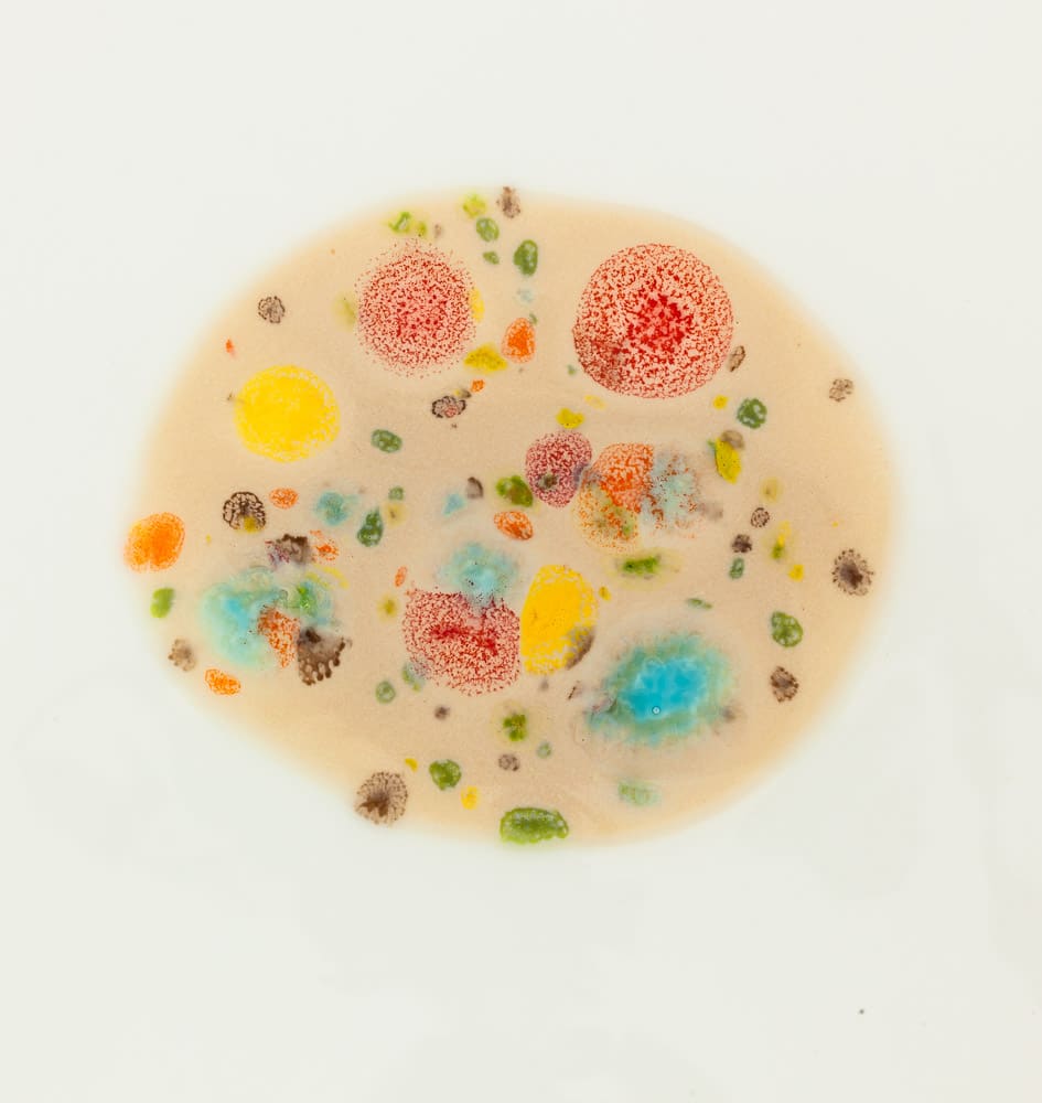 Dinner Coupe Plate 27 White Craquelé Edge Chestnut_MG_6847